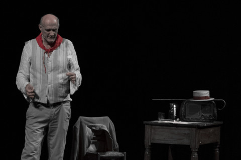 La rana gracida | Foto di scena